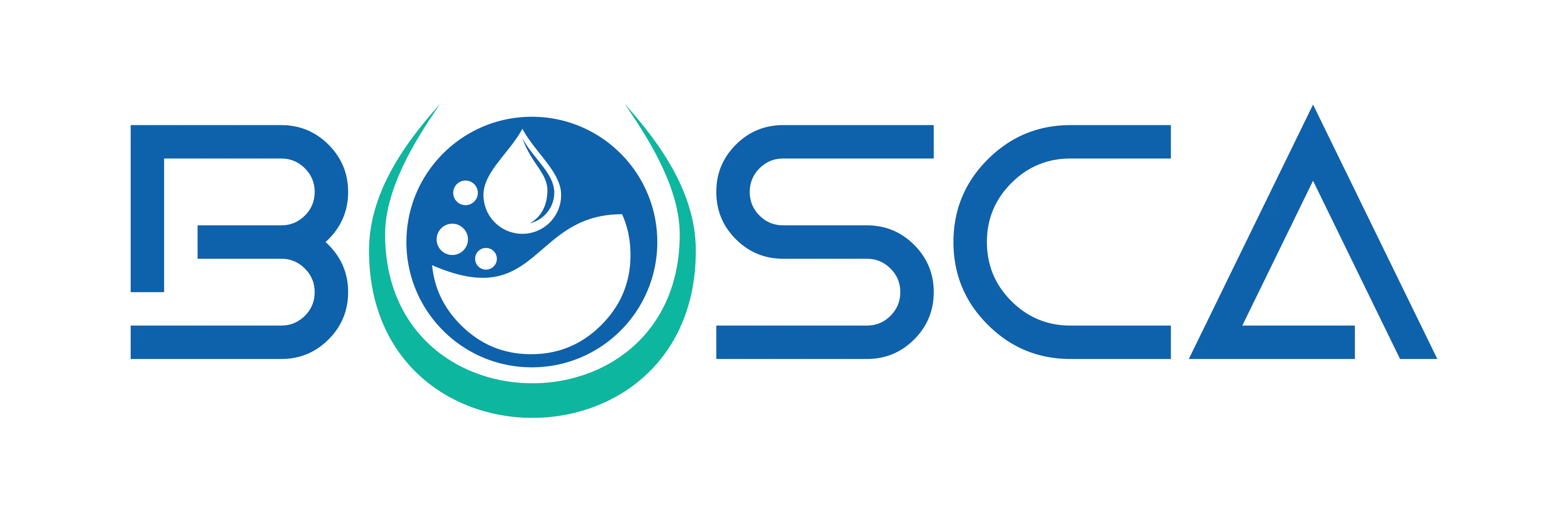 Bosca Chemicals & Cleaning Supplies